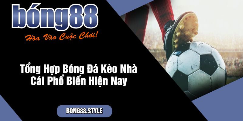 Tong Hop Bong Da Keo Nha Cai Pho Bien Hien Nay